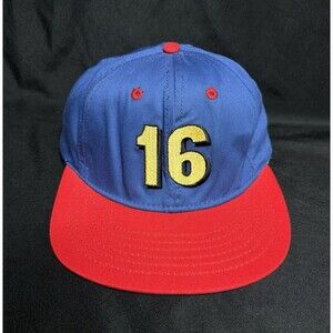 Vintage #16 Musgrave Snapback Hat Cap Made In USA NASCAR Racing OSFM